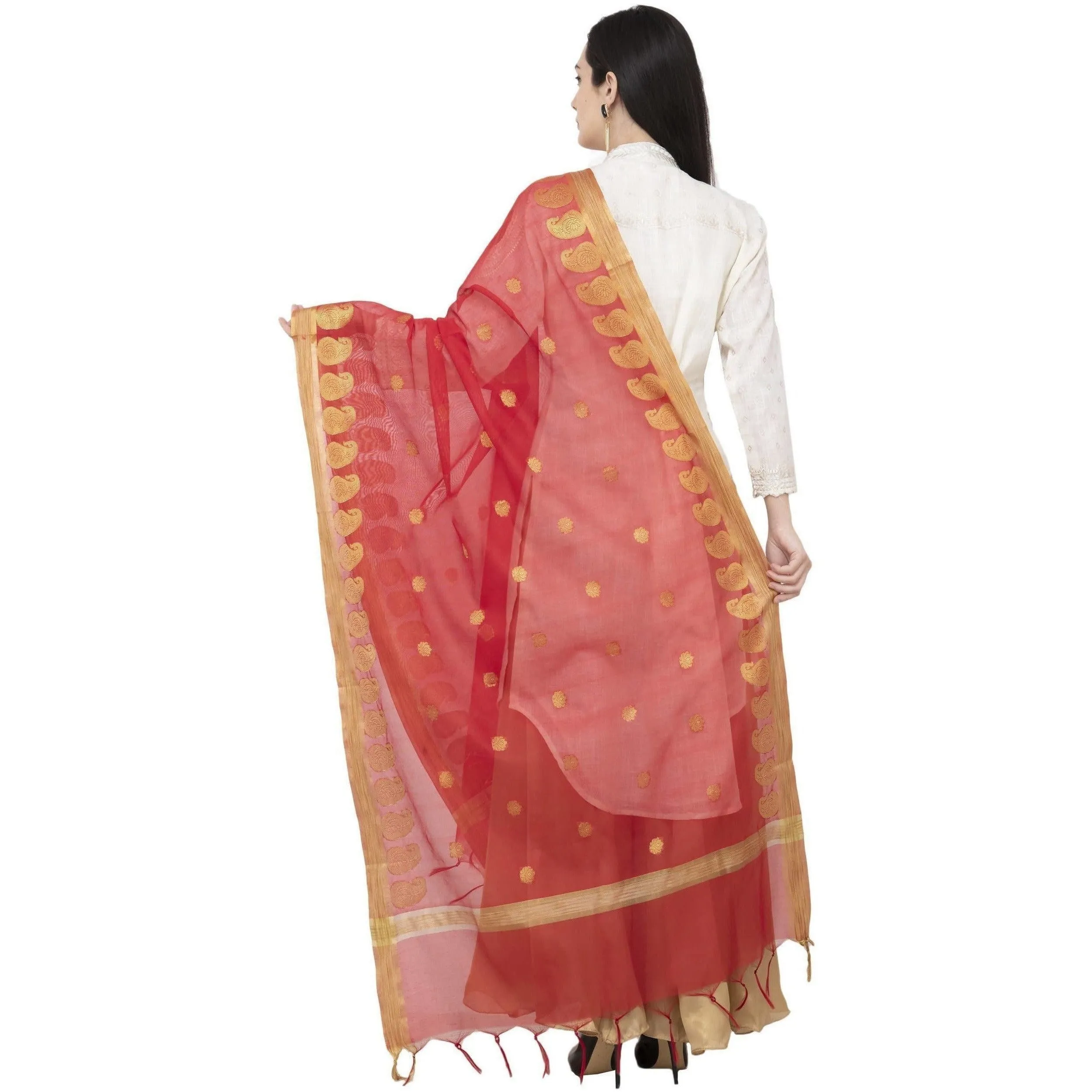 A R Silk VNS Ambi Border Fancy Dupatta Red Color Dupatta or Chunni